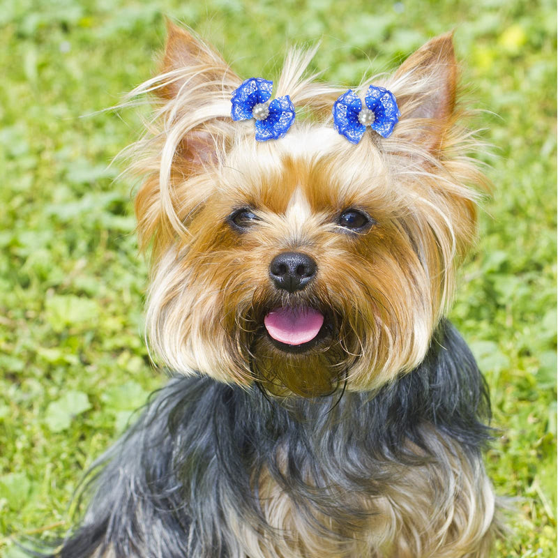 Reginary 300 Pack Dog Bows Grooming Cute Dog Hair Bows Girl with Rubber Bands Small Puppy Bowknots Colorful Hair Accessories for Puppies Pets Gift Classic Style - PawsPlanet Australia