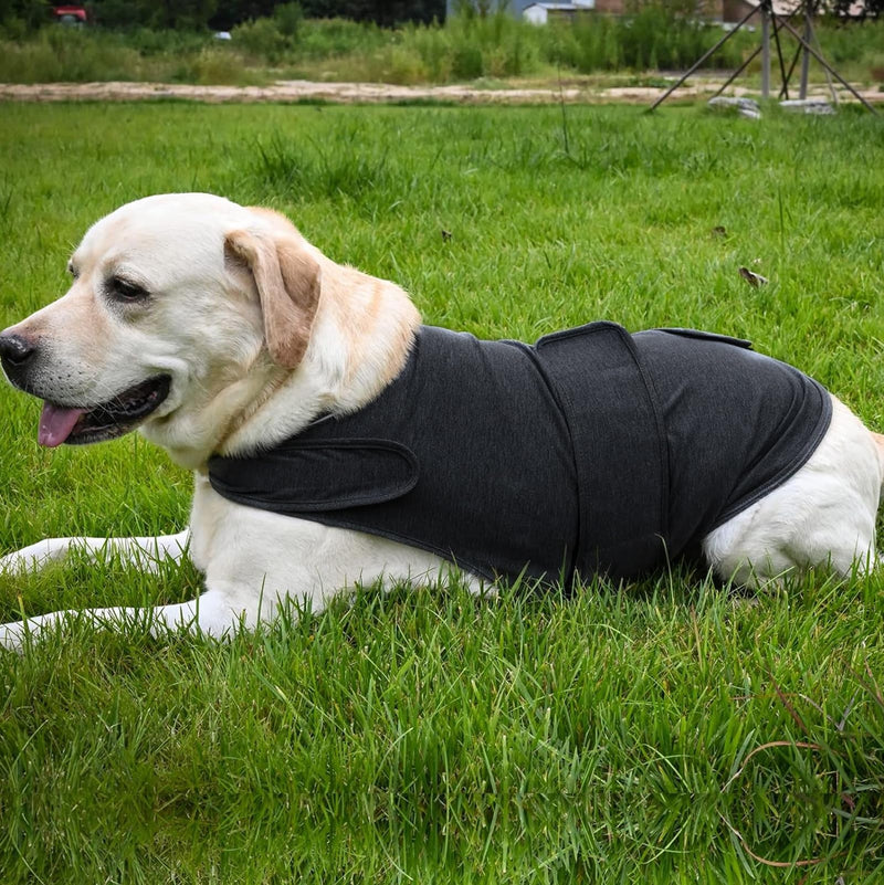 Skin-Friendly Dog Calming Shirt,for Thunderstorm,Travel, Fireworks,Vet Visits,Comfort Dog Anxiety Relief Coat,Keep Pet Calm,Separation Anxiety Relief for Dogs (Dark Gray, Large) Dark Gray - PawsPlanet Australia