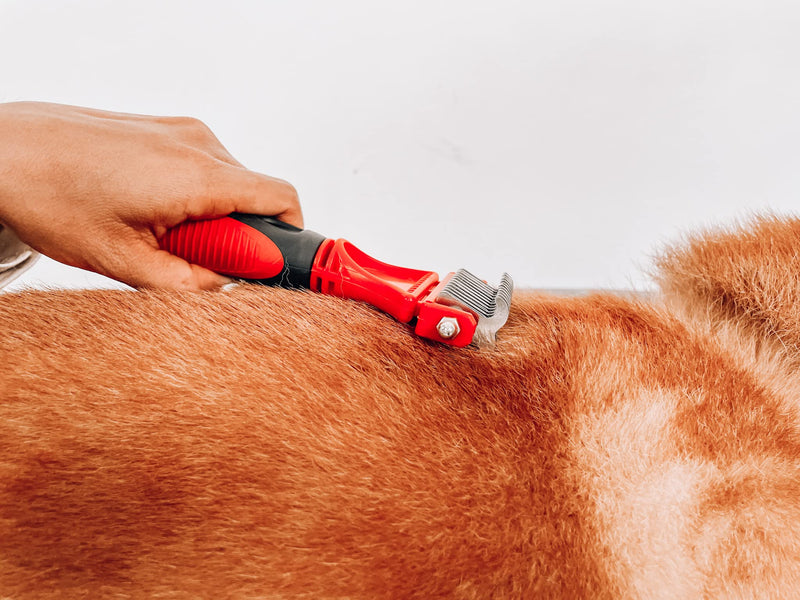 Tuff Pupper Dual Sided Dematting Comb | Convenient 12+23 Teeth Easily Removes Loose Fur Undercoat, Matting and Tangled Hair | Safe Comfortable Grooming Tool for Medium and Long Haired Cats Dogs Brush - PawsPlanet Australia