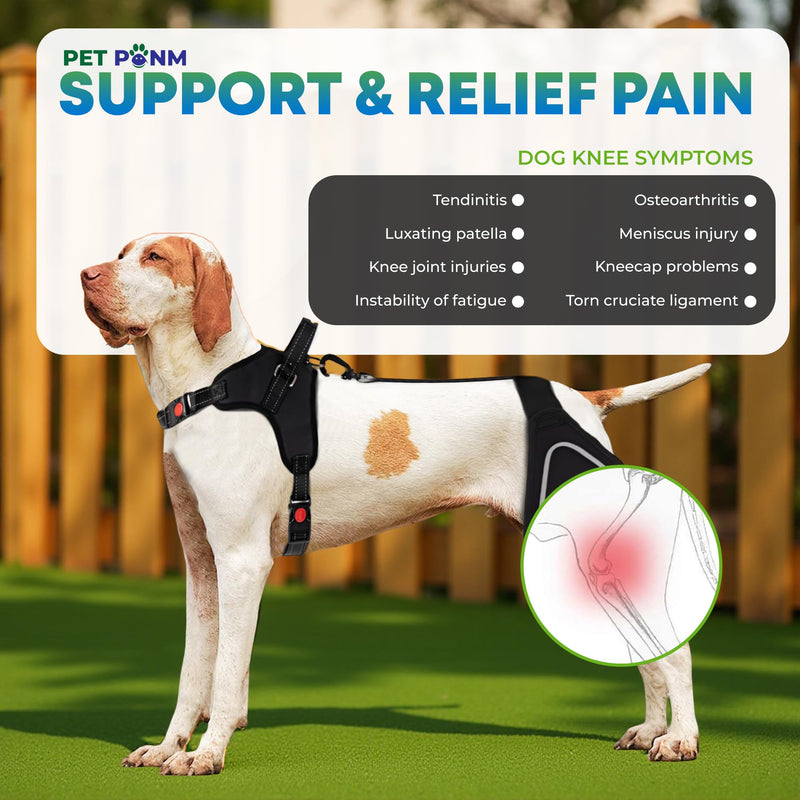 Petpanm- Adjustable Dog Knee Brace- Right Hind Leg with Integreted Harness- Premium Support for Torn ACL, Sprains & Strains Recovery, Enhances Mobility, Comfortable Neoprene - (XLarge). Right leg XLarge