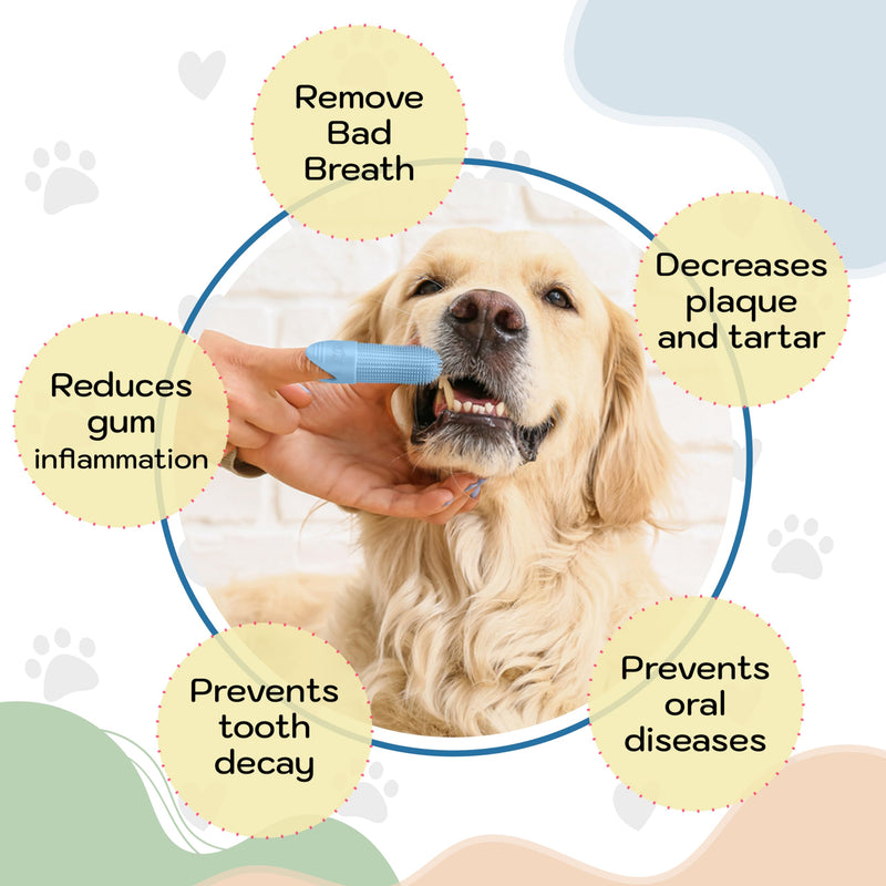 DR. Z'S GOODEEZ Pet Toothbrush for Dogs and Cats. Food Grade Silicone 360° Finger Brush. USA Dentist Approved!! - PawsPlanet Australia