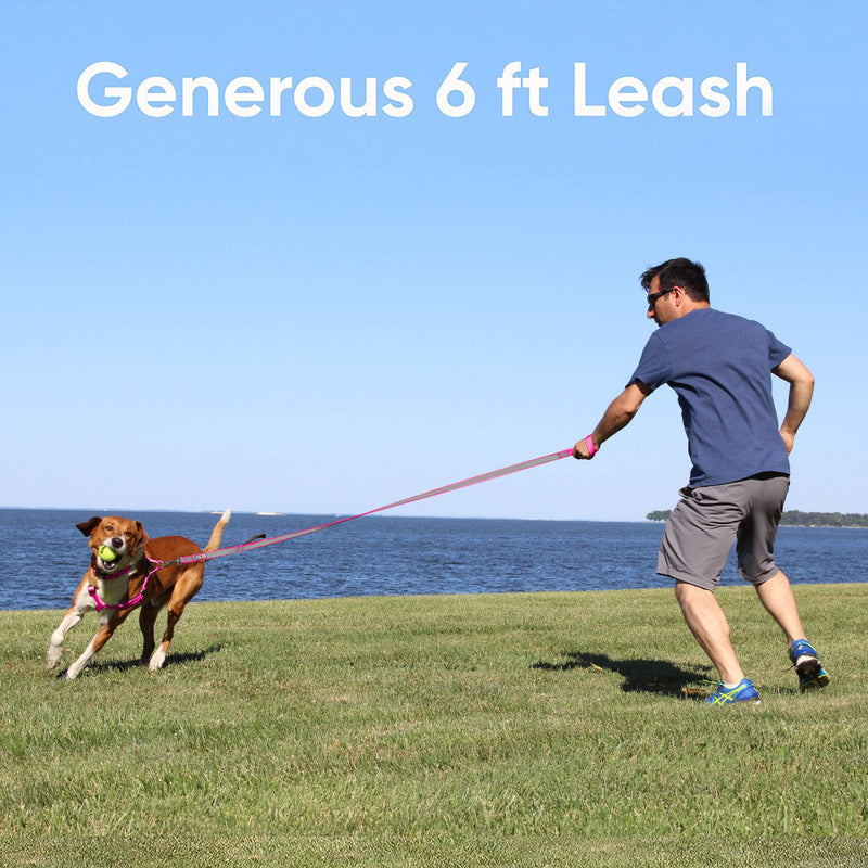 Pawtitas Double Handle Dog Leash Heavy Duty for Training No Pull Leashes Ideal for Medium and Large Dogs | Great for Walking, Running & Training Dog Leash - Medium/Large - Red Medium / Large - PawsPlanet Australia