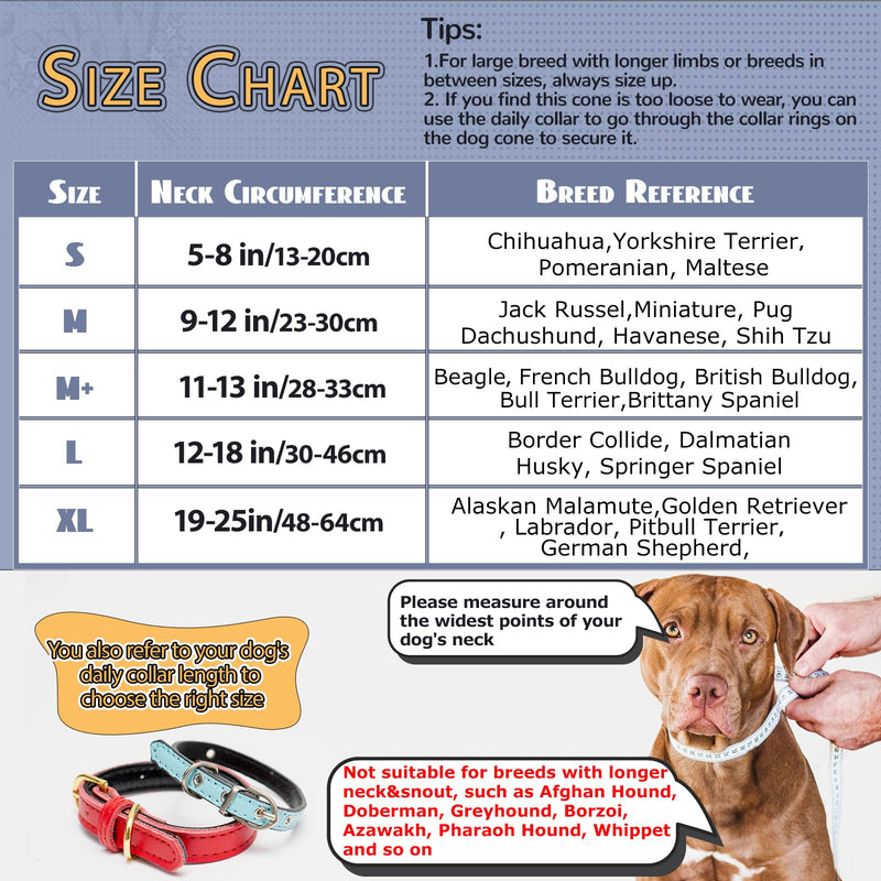 Crazy Felix Soft Inflatable Dog Cone Collar for Large Medium Small Dogs, Cone for Dogs After Surgery, Donut Recovery Cones to Stop Licking and Scratching, Elizabethan Collar with Baffle(Grey,L) L (Neck: 12-18 in) Grey - PawsPlanet Australia