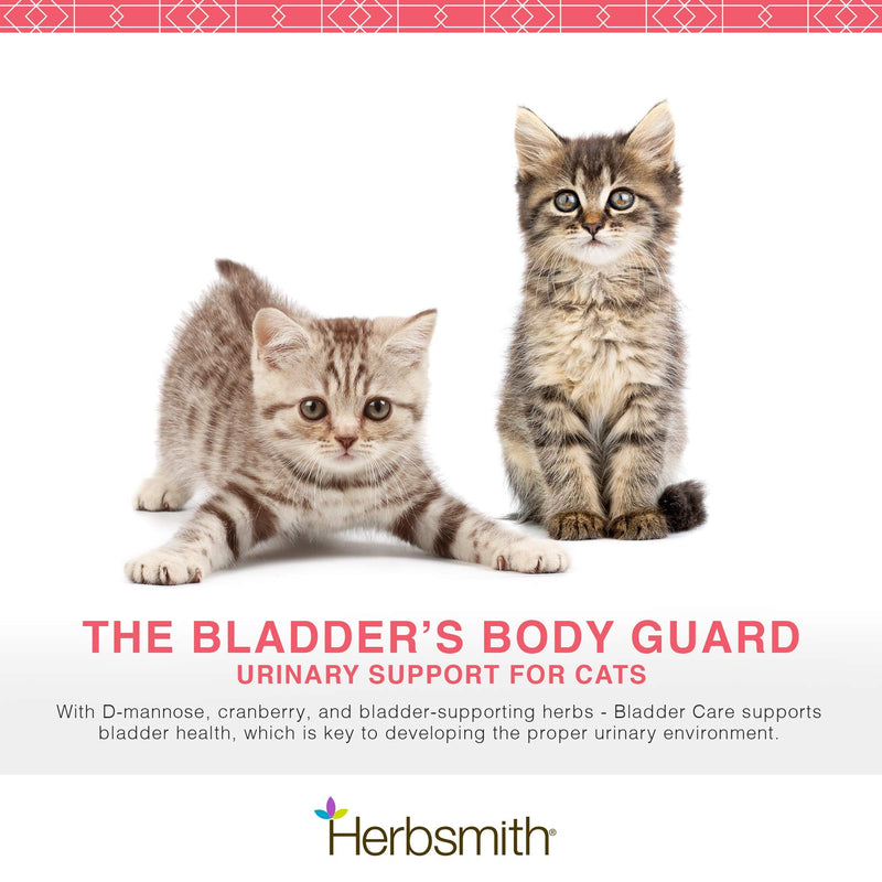 Herbsmith Bladder Care- Bladder Support for Cats- Urinary Tract Cat Supplement – Maintains Kidney Health for Cats– 75g 75g Powder