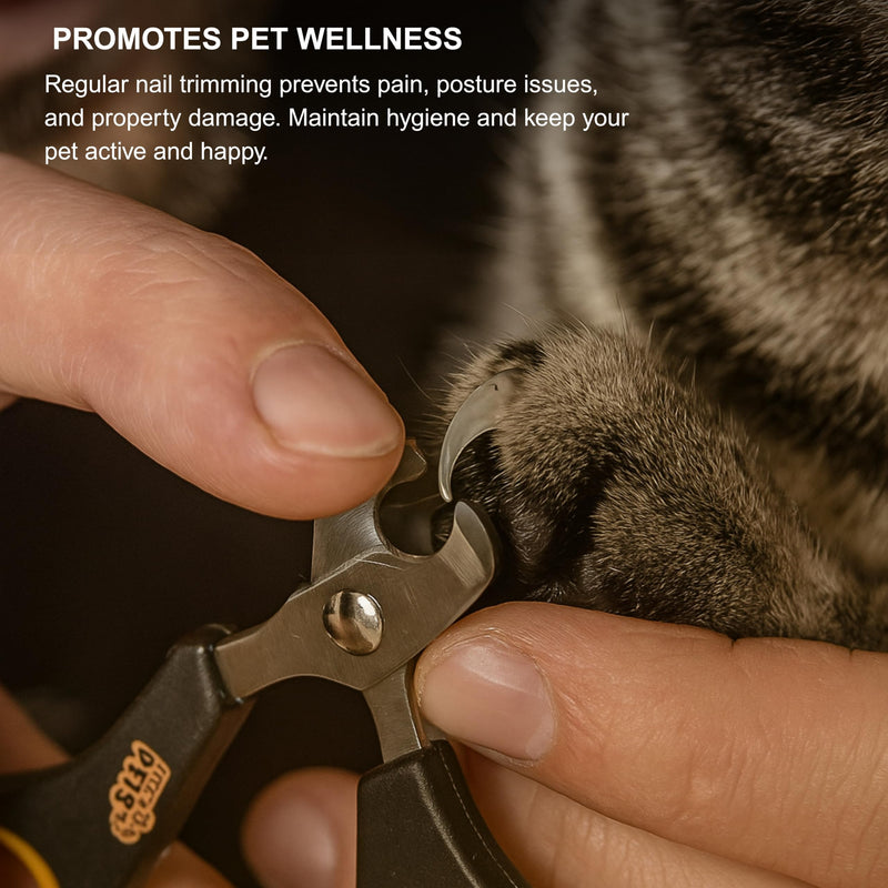 Cat Nail Clippers – Professional Stainless-Steel Claw Trimmer for Cats, Kittens, Hamsters, Rabbits, Birds & Small Animals – Sharp, Safe, Easy-to-Use Pet Nail Cutter - PawsPlanet Australia