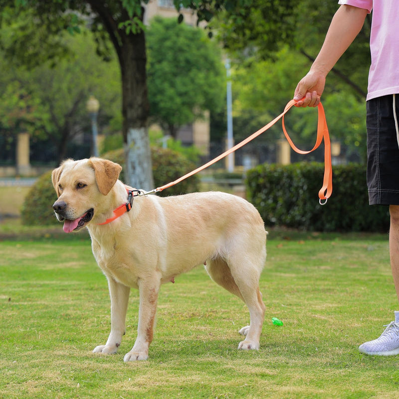 Waterproof Dog Collar, Easy to Clean Rubber Dog Collars with Quick Release Buckle Fits Small Medium or Large Dogs (Orange, L < 15.4-24.8 inch) L (15.4-24.8 inch) Orange - PawsPlanet Australia