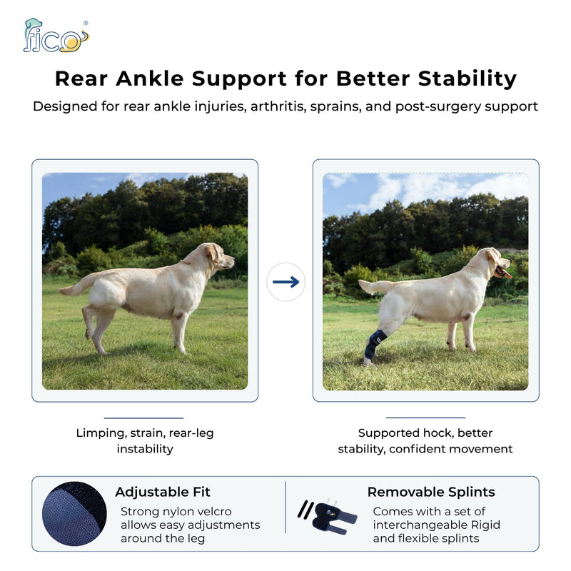 Dog Hock Brace for Ankle Support & Arthritis, Vet Approved Dog Back Leg Brace, Adjustable with Removable Splints, Orthopedic Support for Injuries, Sprains & Post-Surgery Recovery (Medium) Medium