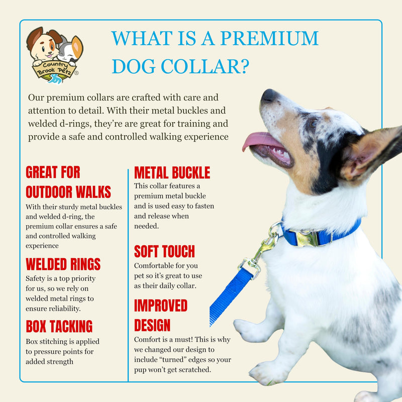 Country Brook Petz - Premium Nylon Dog Collar with Metal Buckle for Small Medium Large Breeds - 10+ Cool Colors (Small, 3/4 Inch, Bright Royal Blue) Small (Pack of 1)