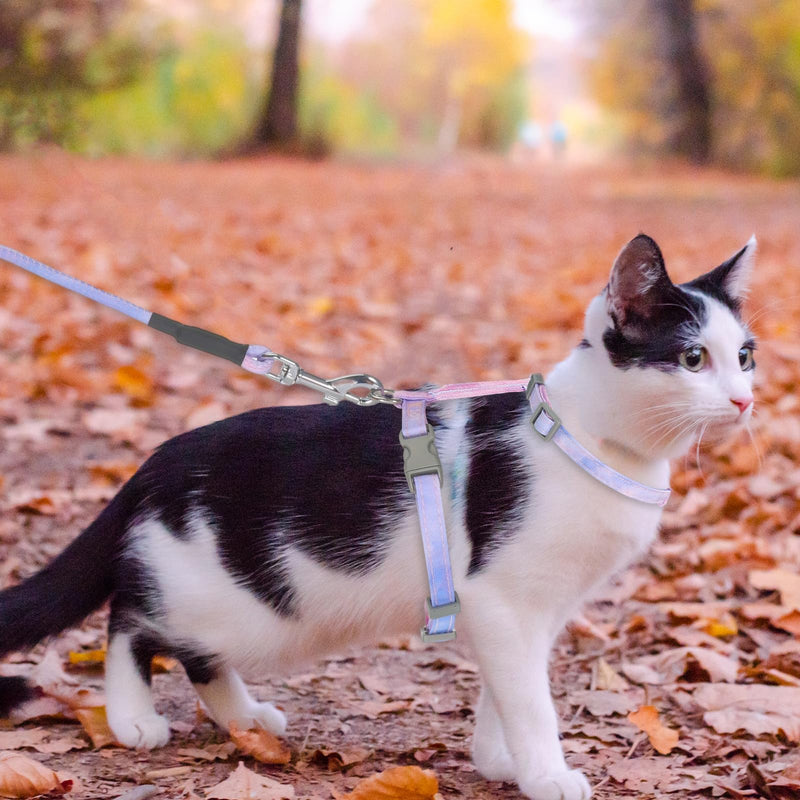 Cat Harness and Leash Set, Escape Proof Comfortable Soft Kitten Harness for Safe Walking and Travel, Adjustable Easy to Wear for Small Medium Cats(Gradient Purple) - PawsPlanet Australia