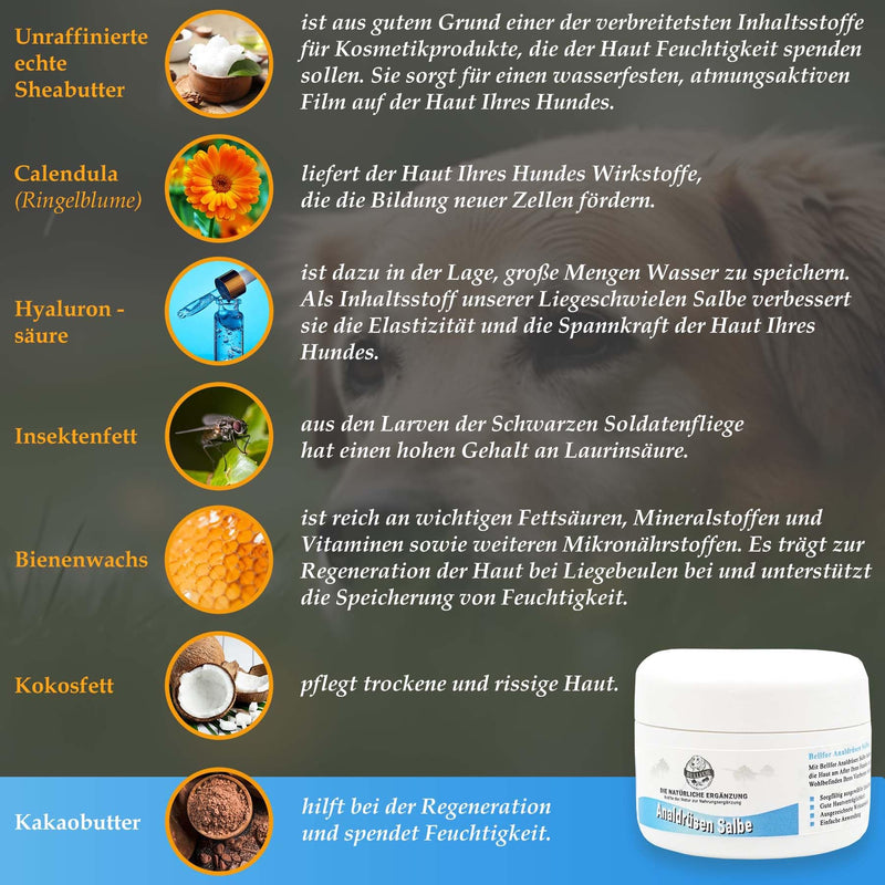 Bellfor Gland Ointment for Dogs 30 ml - Natural Care for Sensitive Skin in the Area, Suitable for Dogs of All Ages and Breeds ointment glands for dogs