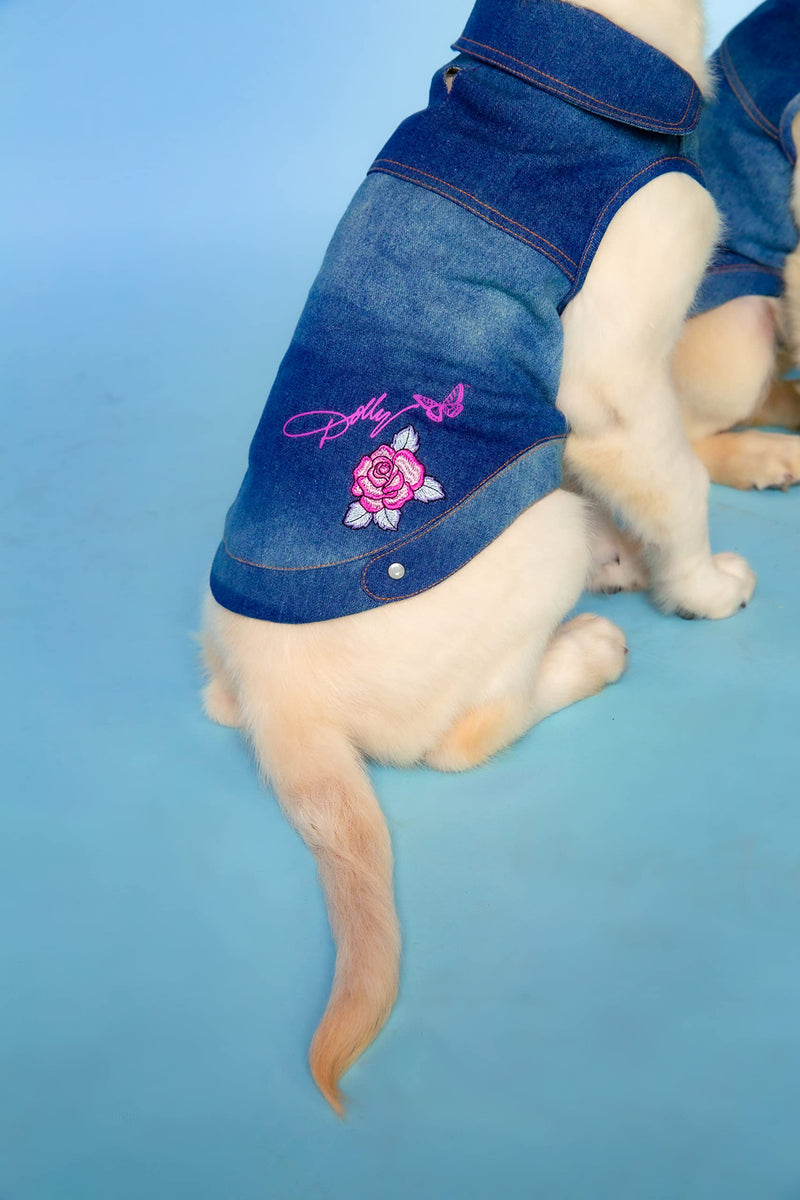 Dolly Doggy Parton Blue Denim Jacket with Collar for Dogs, Dog Apparel (Pack of 2) Medium (Pack of 2)