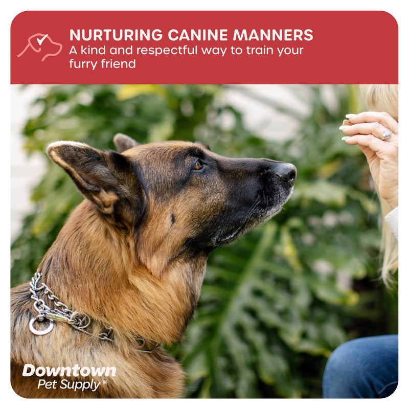 Downtown Pet Supply Chrome Plated Prong Collar for Dogs, Medium - Adjustable, No-Choke and No Pull Dog Collar with Removable Links - Pinch Collar for Dogs 20-40 lbs and 20" Neck Width Medium (Pack of 1) - PawsPlanet Australia