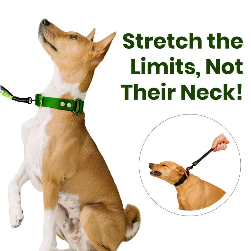 ?????????? ???????? Hands Free Dog Leash for 2 Dogs – Dual Bungee Running Leash with Adjustable Waist Belt, Tangle-Free 360° Swivel, Shock Absorbing, Padded Handles & Zipper Pouch