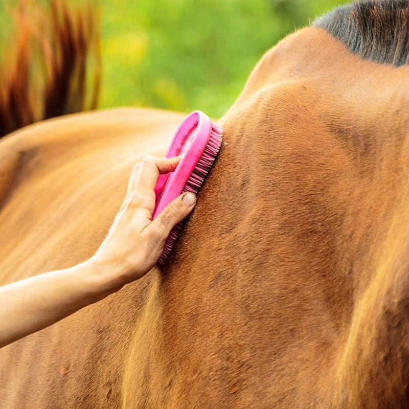 Intrepid International Magic Horse Brush, for Horse Grooming Kit w/Durable Plastic Bristles, Horse Brushes for Grooming, Light Purple - PawsPlanet Australia
