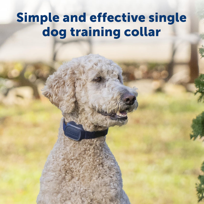 PetSafe Basic Dog Trainer with Remote - Effective Dog Training - 19 Levels of Static Correction - Waterproof Collar - Rechargeable Training Collar - Compact Remote Transmitter Basic Trainer - PawsPlanet Australia