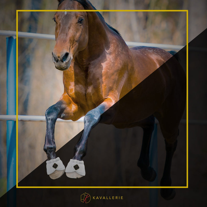 Kavallerie PRO-K Soft No Turn Bell Boots Ultimate Hoof Protection, with Anti-Spin Fastening System, Durable & Prevents Overreaching Black XXL - PawsPlanet Australia