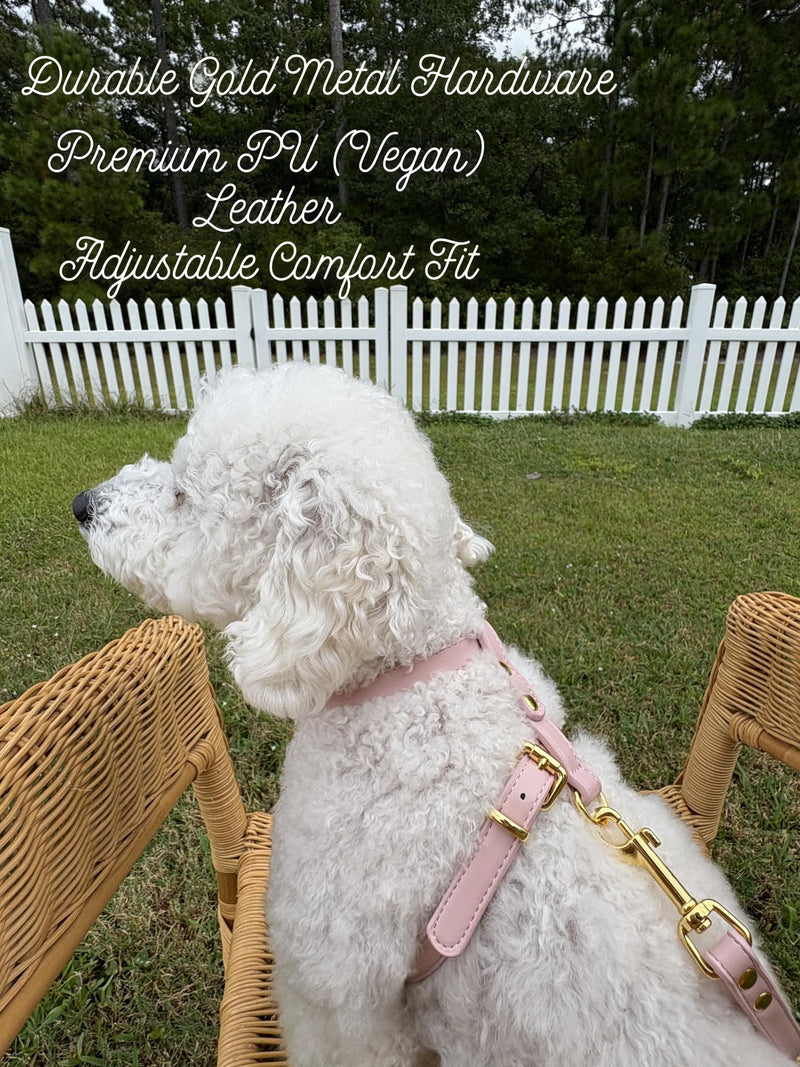 Luxury Dog Harness and Leash Set, Adjustable Padded Pet Harness for Small, to Large Dogs, No Pull H-Shaped Design with Handle, Premium Comfort and Control, Stylish Pink(S) Dog Harness. Small (S) - PawsPlanet Australia