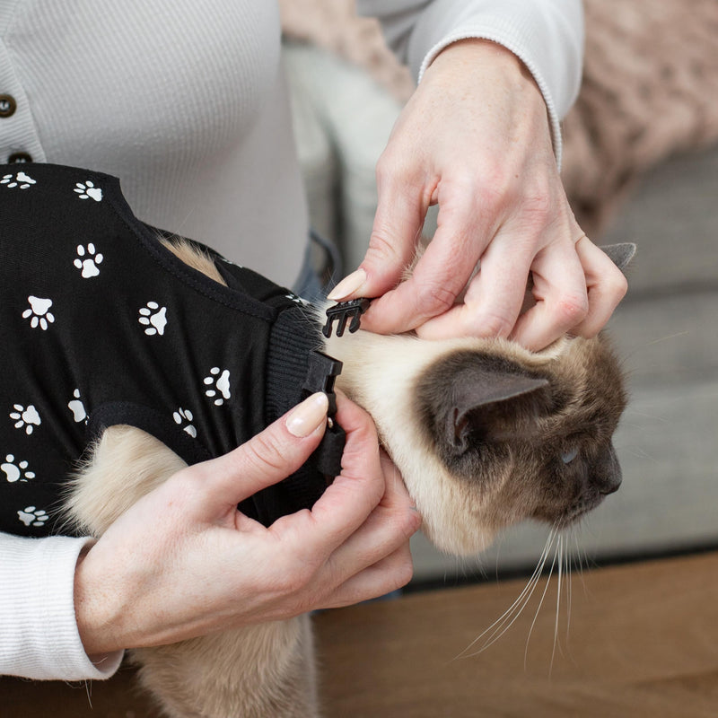 Cat Surgery Recovery Suit Female Cat Onesie for Cats After Surgery Spay Surgical Abdominal Wound Skin Diseases E-Collar Alternative Wear (Black, Medium) Black