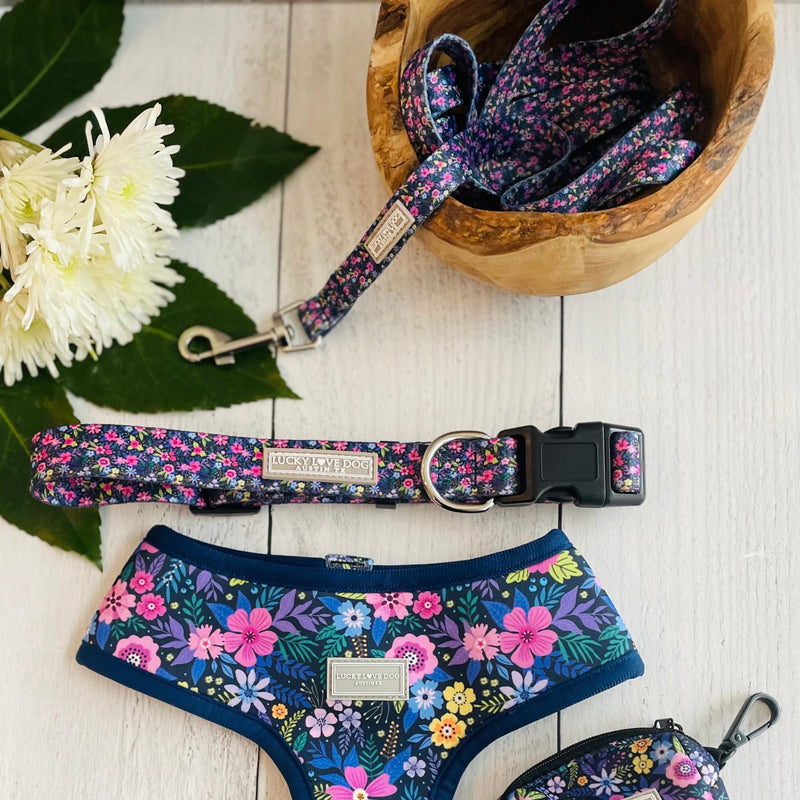 Lucky Love Dog, Matching Dog Collar & Leash Set for Female Dogs, Soft, Adjustable, Safe for Training and Walking, Black & Purple Floral Print, Primrose Combo, X-Small Primrose Collar/Leash Combo X-Small | 7-11"
