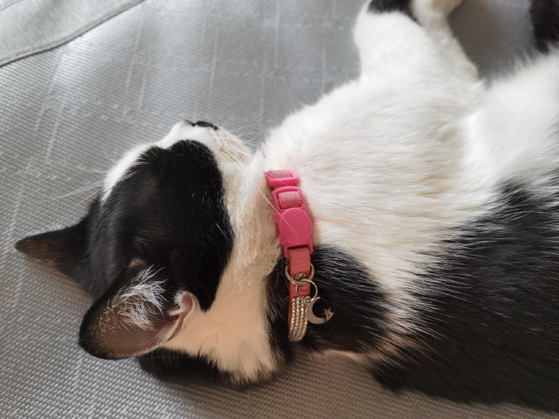 Rhinestone Cat Collar Breakaway with Bell Safety Buckle, Adjustable Diamond Girl Kitty Collar Quick Release for Kitten Tiny Little Pets, 6"-9" Pink Extra Small XS, adjustable range 6"-9" Pink, Pack of 1 - PawsPlanet Australia