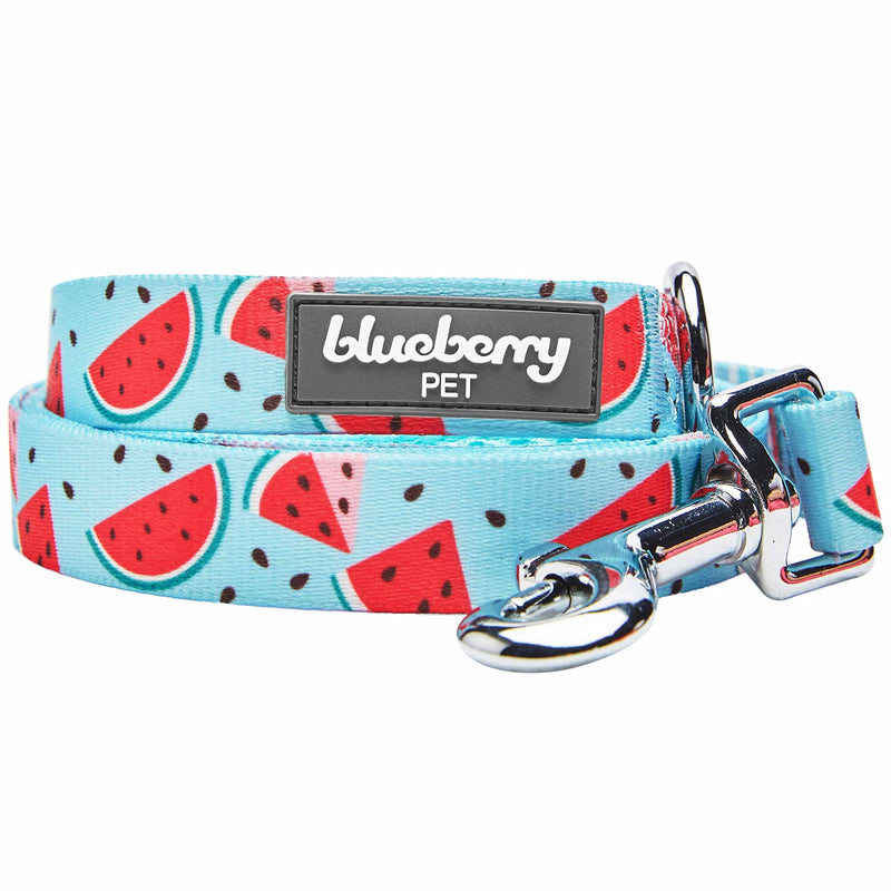 Blueberry Pet Summer Sparkle Dog Leash, Medium Size, 5 ft x 3/4", Blue, Zesty Fruit Watermelon Print Pet Leash 5' * 3/4" (Pack of 1) Slices of Watermelon - PawsPlanet Australia