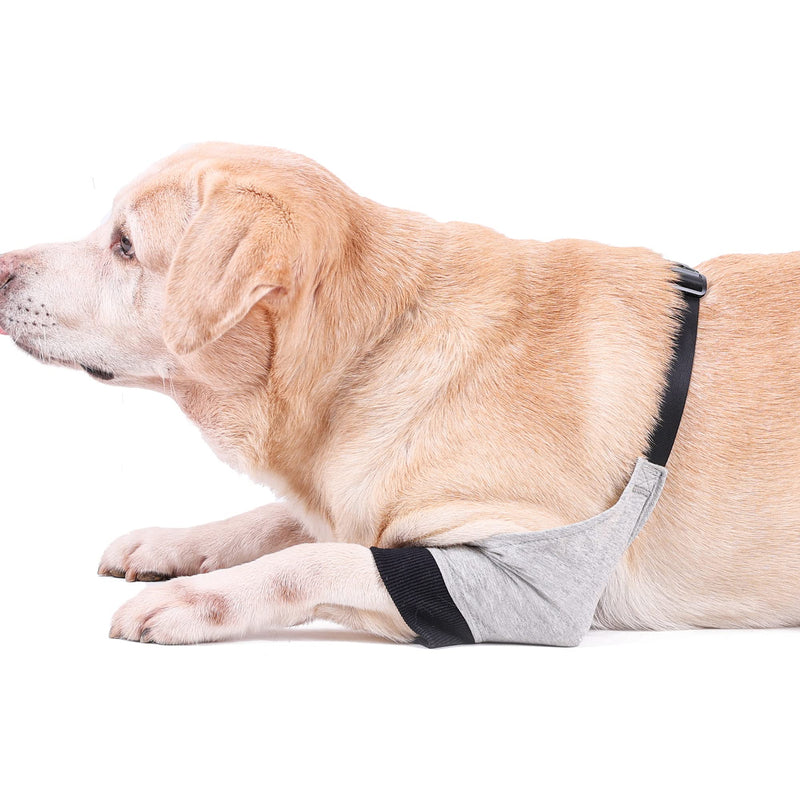 Dog Recovery Front Legs Sleeve Soft Padded Dog Elbow Brace Pet Leg Wounds Protector Dog Short Pants for Small Medium Dogs (XL) XL - PawsPlanet Australia