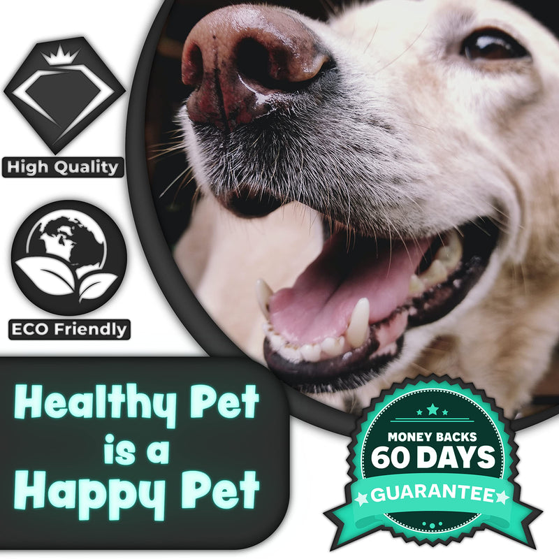 H&H Pets Dog Toothbrush Dual Headed Design Dental Toothbrushes for Small & Large Dogs, 4 or 8 Counts Pack 4 Count (Pack of 1) - PawsPlanet Australia