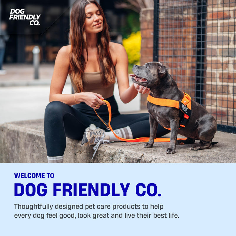 DF Co. Dog Harness | Chafe Resistant Webbing, Adjustable Neck & Chest, and Heavy Duty D-Ring | Sturdy, Comfortable, Easy to Use | Sky Blue, Size S Small - PawsPlanet Australia