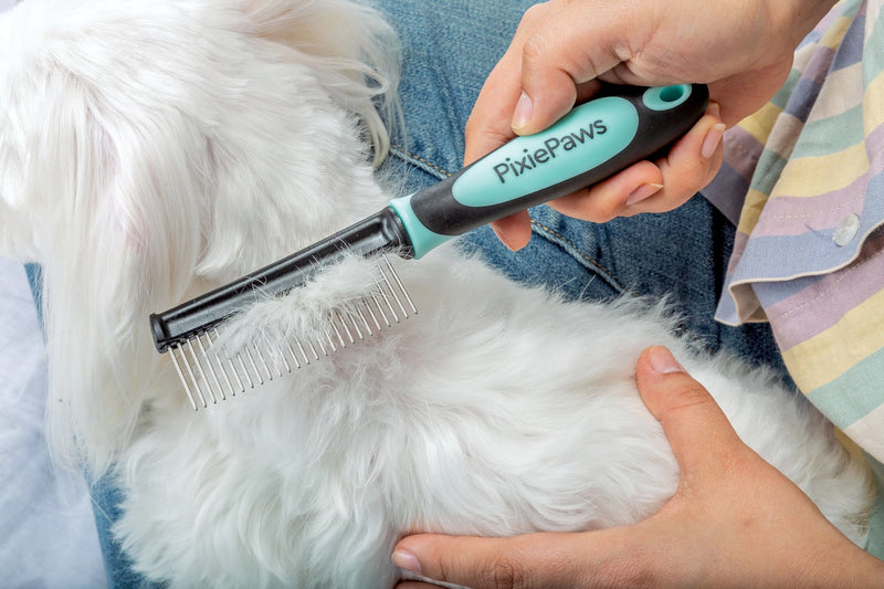 Pixie Paws Grooming Pet Brush 6 Piece Set, Dog and Cat Kit, Dematting Comb, Deshedding Fur, Toothbrush Clean Teeth, Remove Knot Tangles, Nail Clippers, Comfortable Handle - 530004E - PawsPlanet Australia