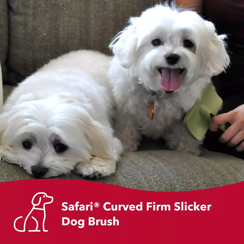 Coastal Pet Safari Dog De-Matting Comb & Slicker Dog Brush for Shedding - Comb & Brush for Dogs with Medium to Long Hair - Easy Detangling - Bundle - PawsPlanet Australia