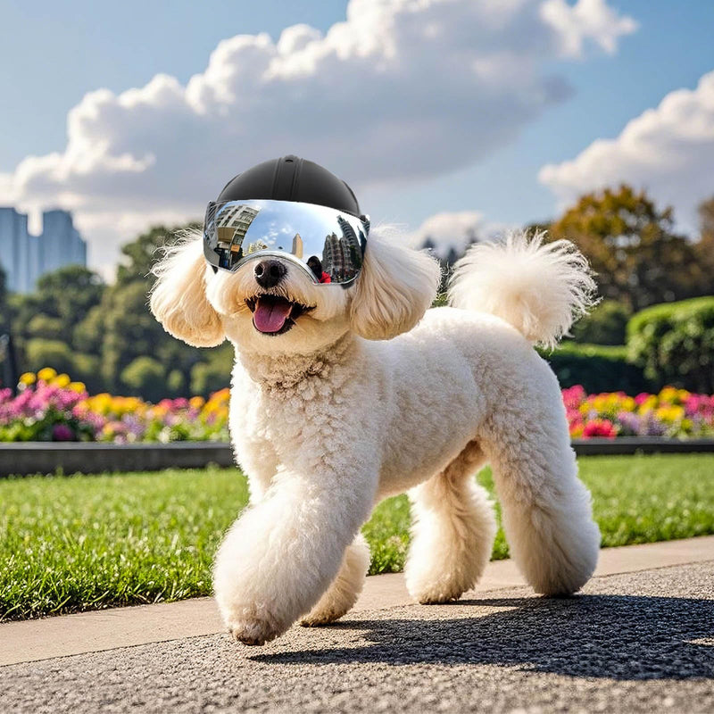 Namsan Dog Helmets for Small Dogs, Dog Helmet with Sun Lens Goggles, Doggie Helmets Hat with Ear Holes, Bike Doggie Helmet for Small to Medium Dogs, Adjustable, Black Silver Helmet - PawsPlanet Australia