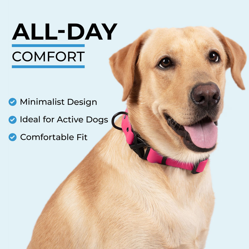 Light Duty Rivet Biothane Dog Collar - Pink, Waterproof, Odor Proof, Lightweight, Made in the USA, Curved Quick Release Plastic Buckle, Medium 12-15" Neck W 3/4" x L 12-15" - PawsPlanet Australia