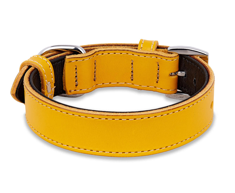 Soft Leather Dog Collar | Dog Collars for Small, Medium and Large Dogs | Durable Heavy Duty Dog Collars X-Large: Neck 19.7"-22.8" Yellow - PawsPlanet Australia