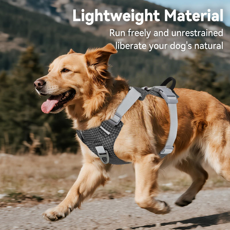 Joytale Lightweight Light Up Dog Harness, Rechargeable No-Pull LED Dog Harness with Detachable Light Box, Airtag Holder, Adjustable for Night Walking, Running & Everyday Use, Black, M - PawsPlanet Australia