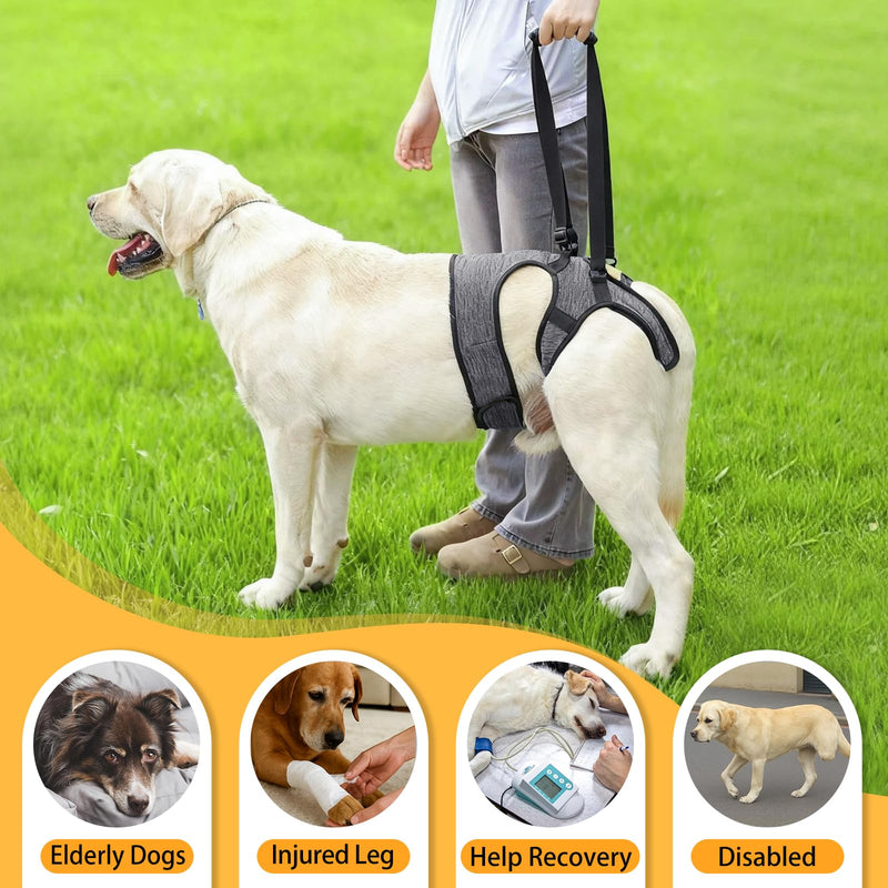 LIANZIMAU Dog Sling for Large Dogs Adjustable Hind Leg Support Lift Harness Senior Canine Mobility Aid Carrier for Back Legs Walking Rehabilitation Grey L - PawsPlanet Australia
