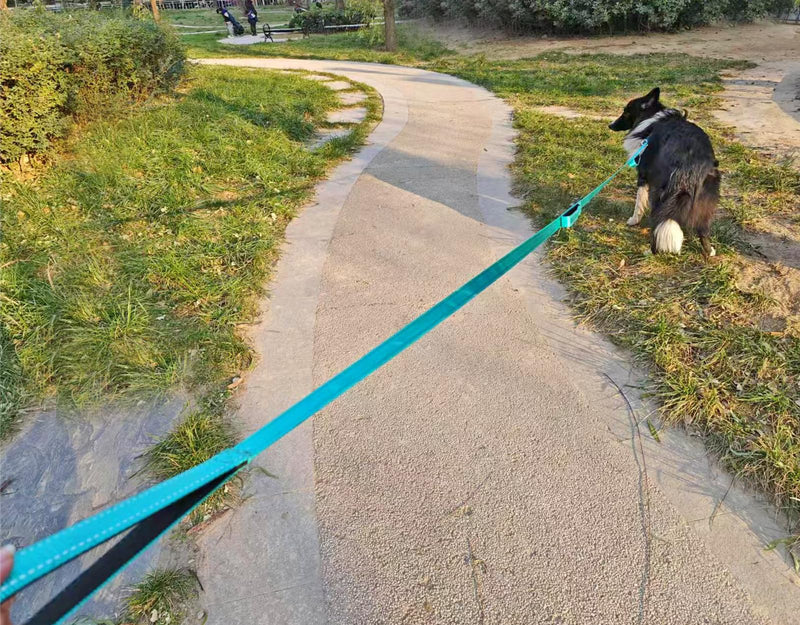 3 Handle Dog Leash, 10FT Triple Handle Reflective Stitching with Padded Traffic Handles, Heavy Duty Training Pet Lead for Control and Safety (Black) Black - PawsPlanet Australia