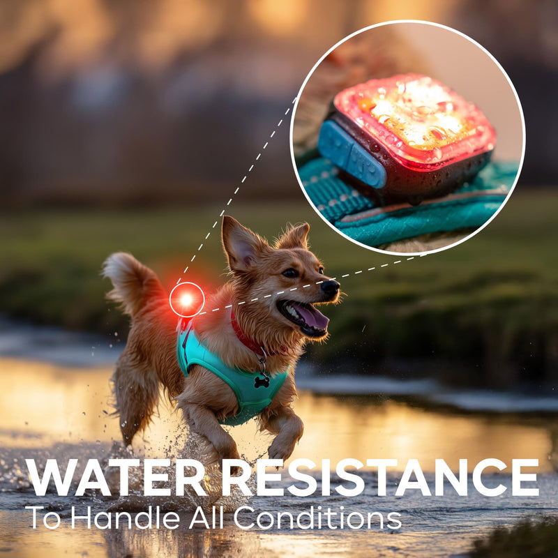Dog Collar Light (1 Pack), Powerful 500 Lumens Dog Lights for Night Walking, New Generation Rechargeable Reflective Dog Light - Dog Hiking Gear - PawsPlanet Australia