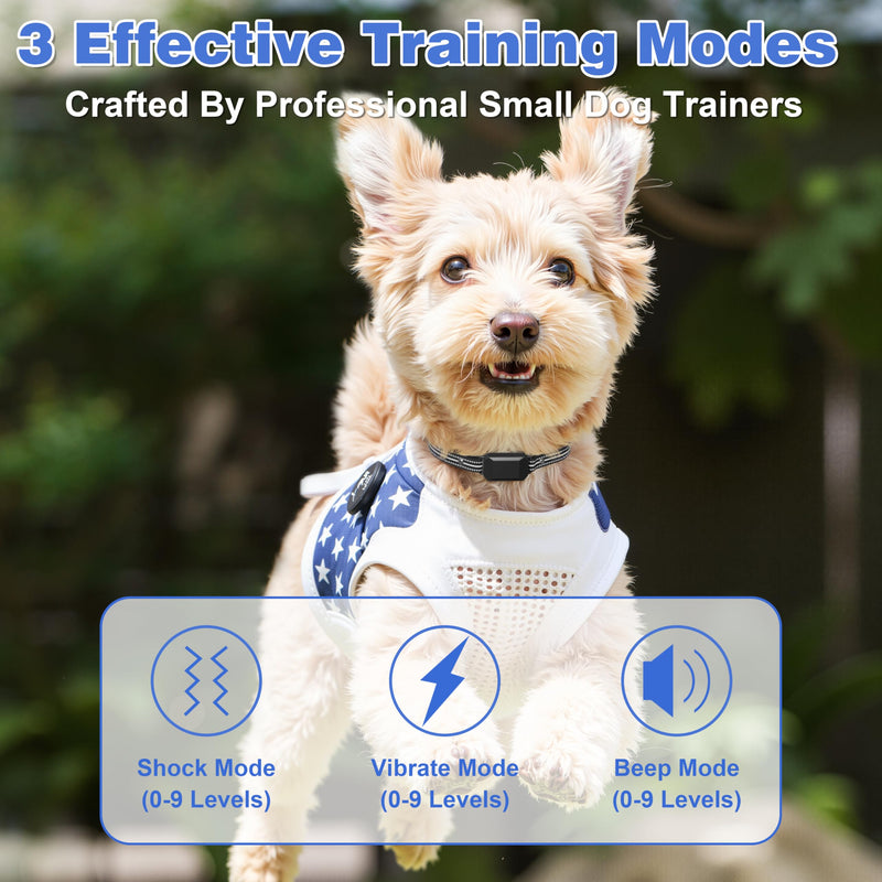 Small Shock Collar for Small Dogs, Dog Training Collar with Remote for Small & Medium Dogs 5-30lbs, Waterproof, Rechargeable, 1300ft Range, Collar with Beep, Vibration, Safe Shock Black - PawsPlanet Australia