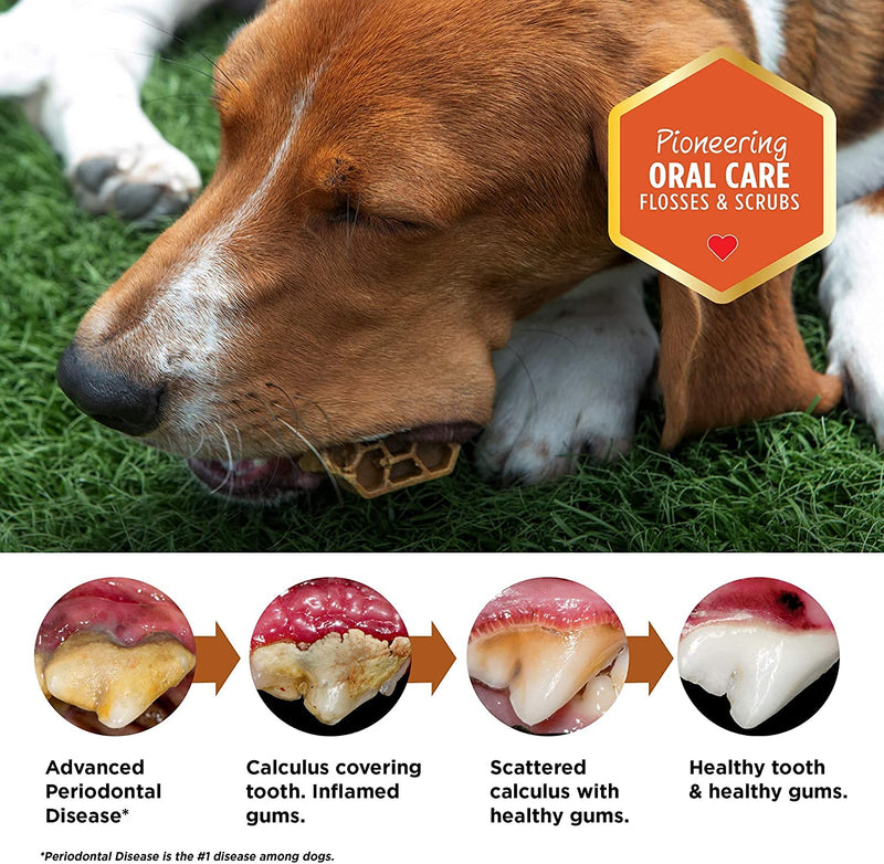 Yummy Combs Dental Treats for Dogs | Old Version | Dental Dog Treats for Large Dogs (24oz, 18 Count) 24 oz (Pack of 2) - PawsPlanet Australia