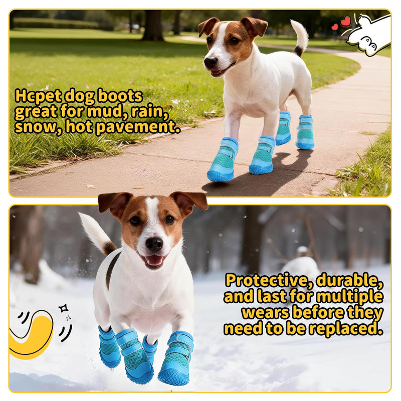 Dog Shoes for Small Dogs, Dog Boots & Paw Protectors for Hot Pavement Winter Snow Hiking, Anti-Slip Dog Booties for Hardwood Floor Blue Size 3 #3 (Width 1.49 inch) for 11.0-16.5 lbs - PawsPlanet Australia