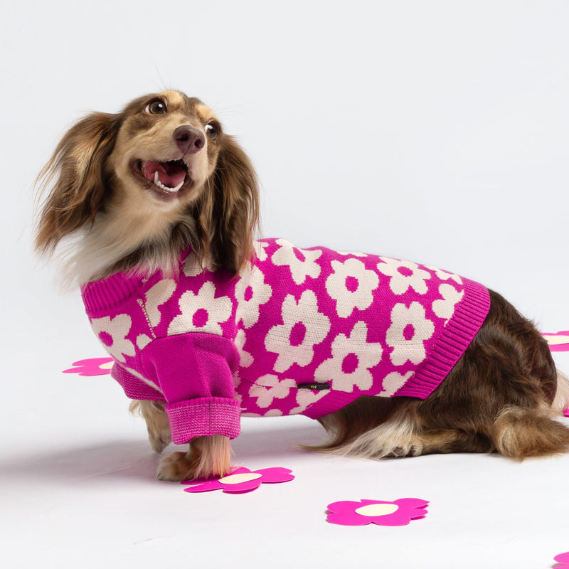 Fitwarm Floral Dog Sweater, Thermal Dog Sweatshirt, Dog Winter Clothes for Small Dogs Girl, Doggy Pullover Jumper, Pet Outfit, Hot Pink, White, Small Flower - PawsPlanet Australia