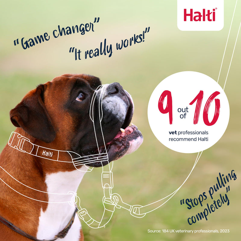 HALTI Optifit Headcollar - To Stop Your Dog Pulling on the Leash. Adjustable, Reflective and Lightweight, with Padded Nose Band. Dog Training Anti-Pull Collar for Large Dogs (Size Large) - PawsPlanet Australia