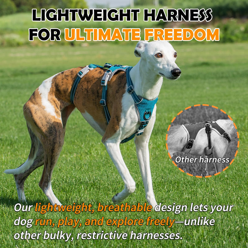 Huntboo Escape Proof Dog Harness – No Pull, No Slip, Fully Reflective, Adjustable 7-Point Design for Small, Medium, and Large Dogs – Lightweight for Outdoor Training & Hiking (Teal, M) Medium (Pack of 1) Teal - PawsPlanet Australia