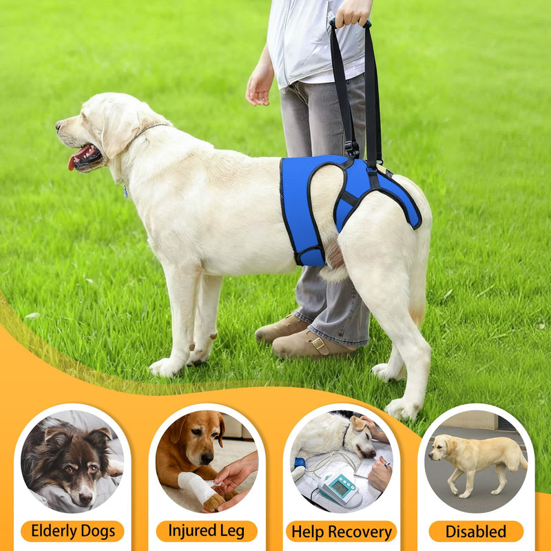 LIANZIMAU Dog Sling for Large Dogs Adjustable Hind Leg Support Lift Harness Senior Canine Mobility Aid Carrier for Back Legs Walking Rehabilitation Royal Blue L - PawsPlanet Australia