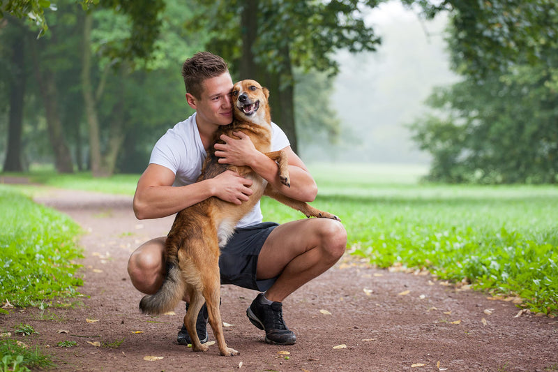 Immune Active Globules for Love for Your Dog to Support the Immune System and Activate the Defenses, Bioenergetic/Radionic Informed with Shitake Mushrooms and Nucleotides.