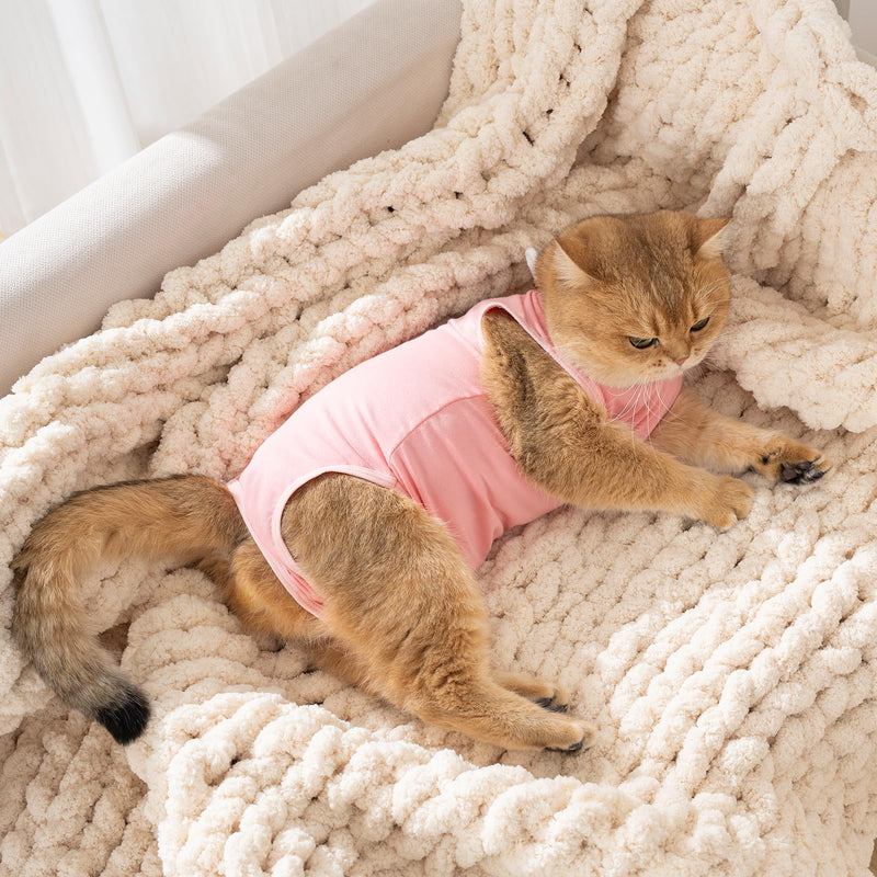Avont Foldable Cat Cone Collar Soft to Stop Licking Bundle with Cat Recovery Suit After Surgery -M