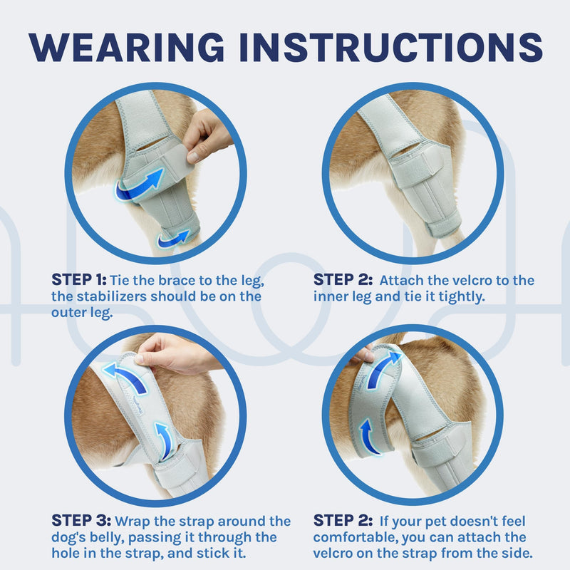 Dog Knee Brace, Torn ACL Hind Leg, Dog Hip Brace, Dog Leg Braces, Cruciate Care Knee Brace for Dogs, Size: XXL - PawsPlanet Australia