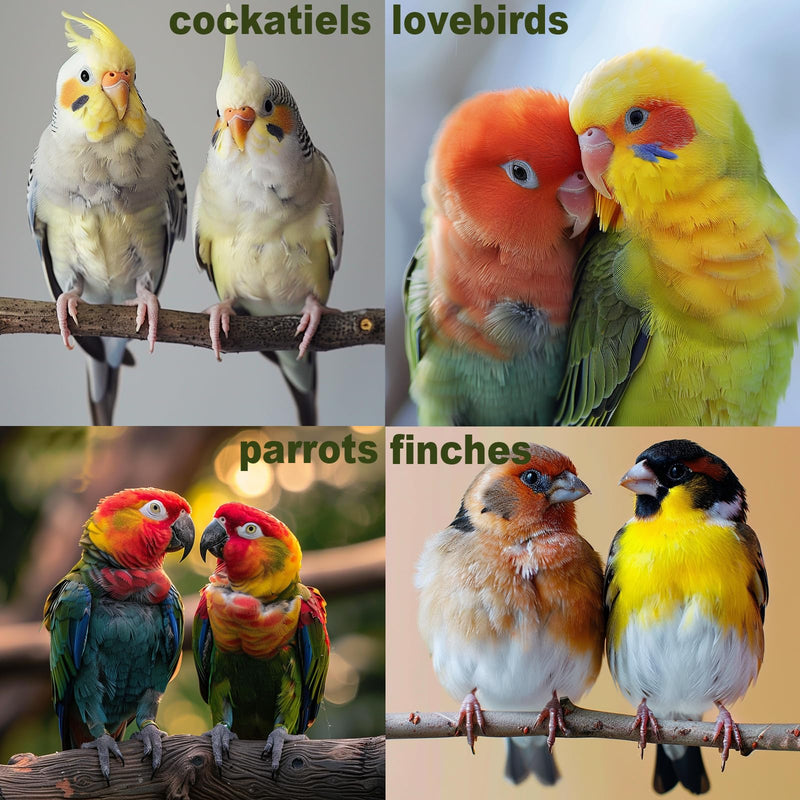 Bird Toys for Parakeets 7Pcs, Wood Parrots Toys Budgie Toys for Bird Cage Accessories, Bird Perch Swings for Small Birds Toys, Conure Cockatiel Toys, Bird Ladder Swing for Parakeets Climbing 18'' - PawsPlanet Australia