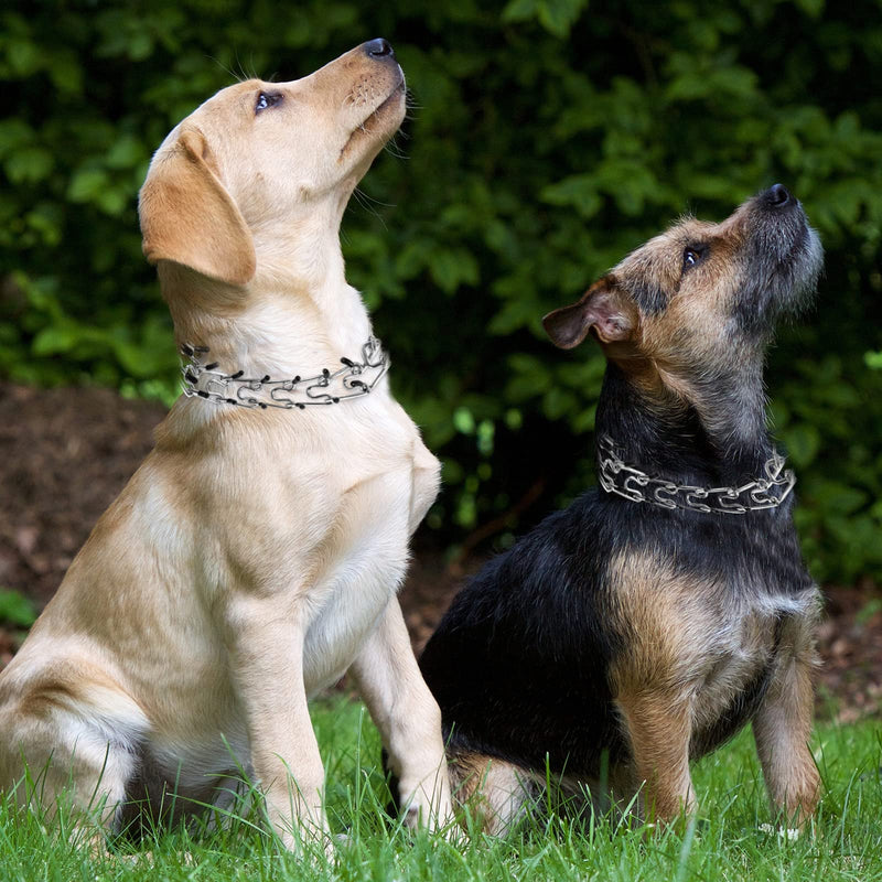 Dog Prong Collar, Adjustable Choke Collar for Dogs, High-Strength Metal Collar with Comfort Rubber Tips, for Small to Large Dogs, Gold B Medium - PawsPlanet Australia