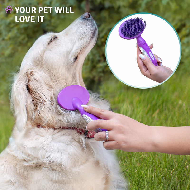 Slicker Dog Brushes for Grooming Detangler, Poodle Pin Dematting Dog Grooming Brushes - Soft Dog Brush for Short or Long Hair - Gentle Tool for Sensitive Skin Removes Dander, Dirt, and Detangles